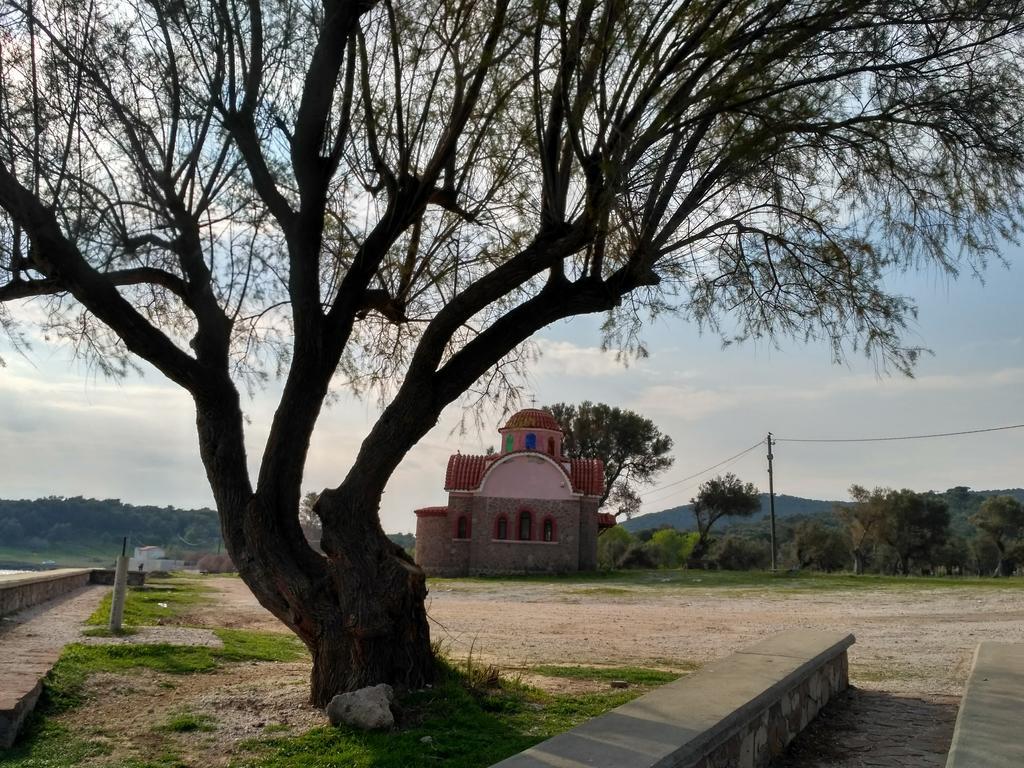 9 Musses Rooms-Studios Skala Mistegnon Bagian luar foto