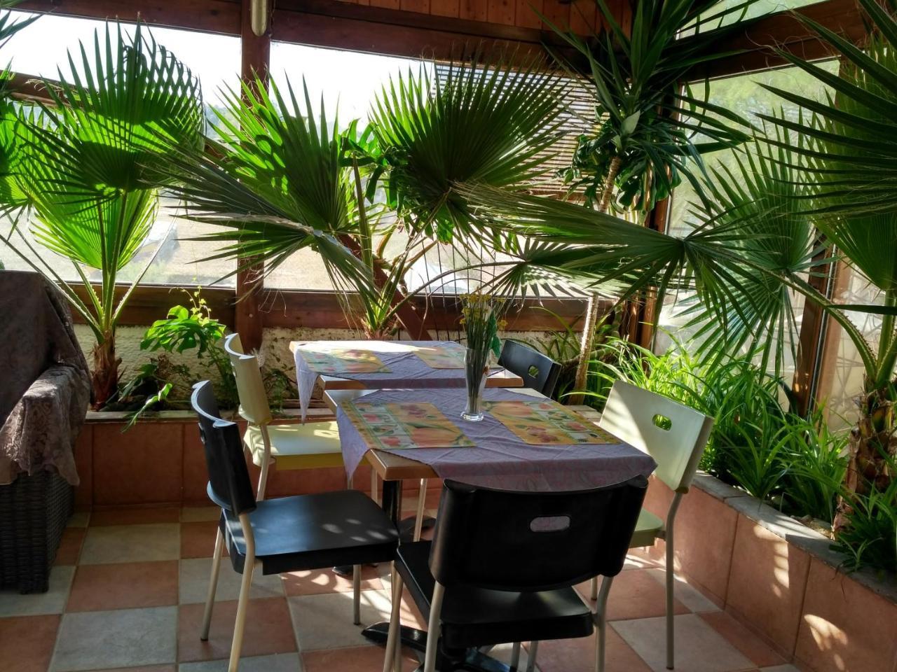 9 Musses Rooms-Studios Skala Mistegnon Bagian luar foto